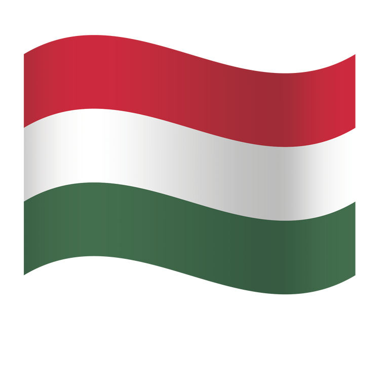 EM Fanartikel Magnet Flagge Fahne für Auto Deko Alle Länder verschiedene Größen