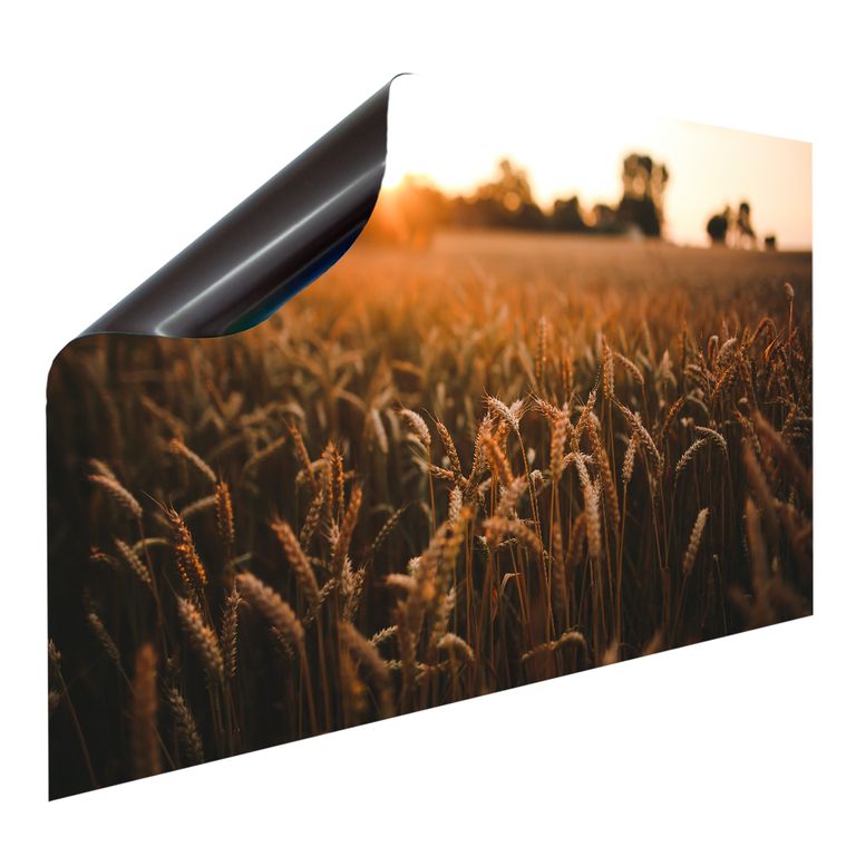 Magnetfolie Einzelbild - Hochwertiger Digitaldruck auf Magnetfolie Motiv Feld