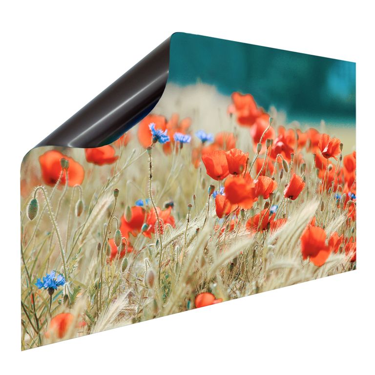 Bedruckte Magnetpinnwand Eisenfolie Whiteboard Magnetwand Motiv Mohnblumen