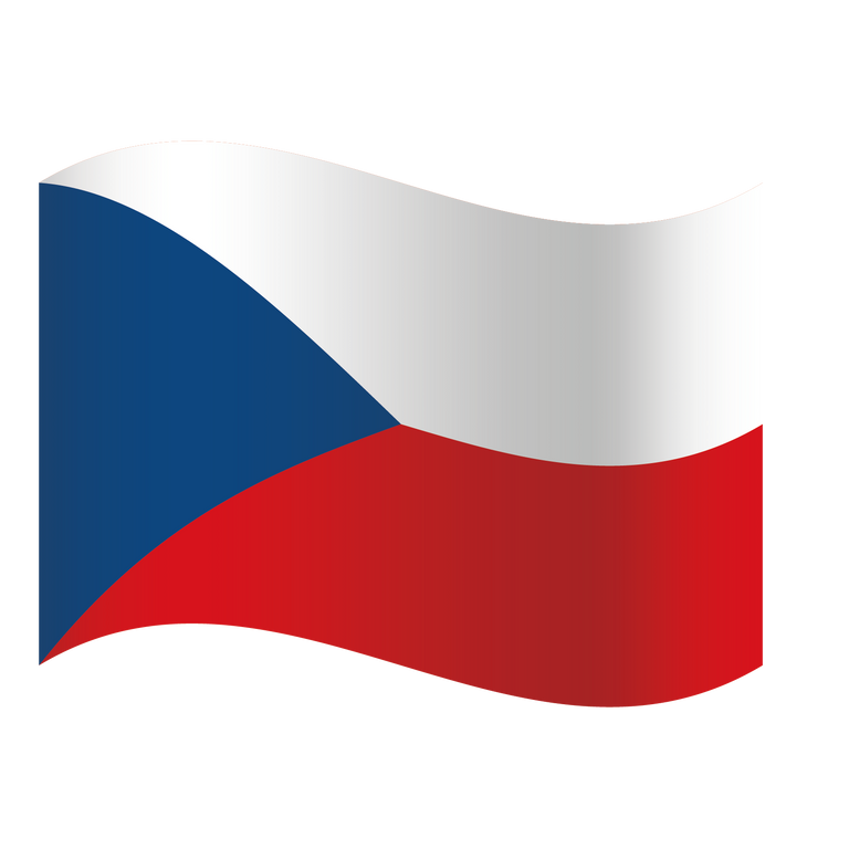 EM Fanartikel Magnet Flagge Fahne für Auto Deko Alle Länder verschiedene Größen