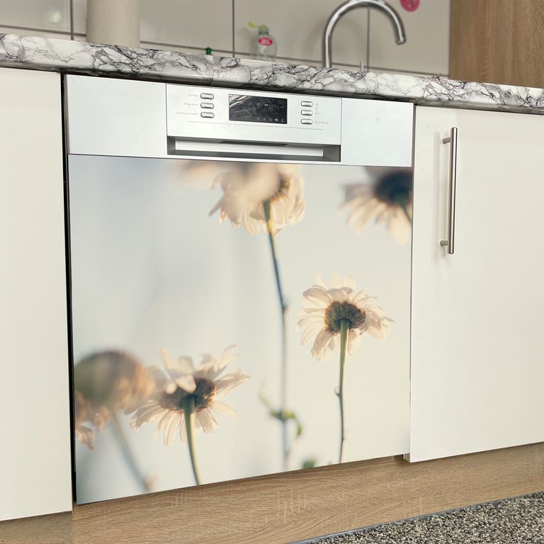 Spülmaschinen Möbel Magnetfolie Dekofolie Dekor Einzelbild - Motiv White Flowers
