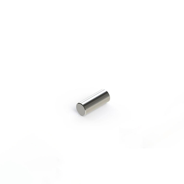 Stabmagnet Ø 6,0 x 13,0 mm N48 Nickel - hält 1,5 kg