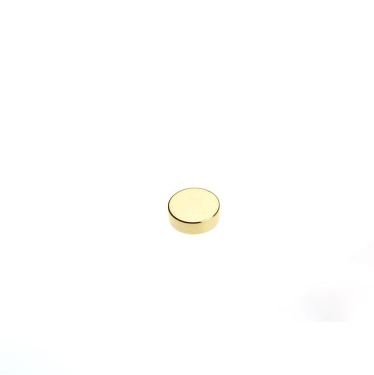 Scheibenmagnet Ø 5,0 x 2,0 mm N40 Gold - hält 650 g