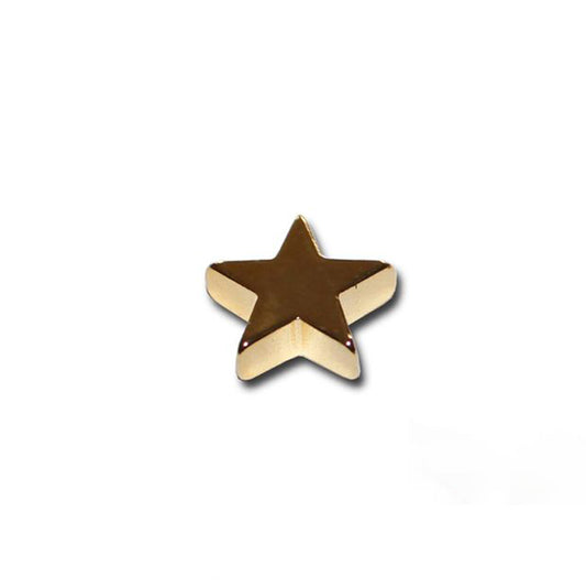 Neodym Magnet in Sternform vergoldet GOLD