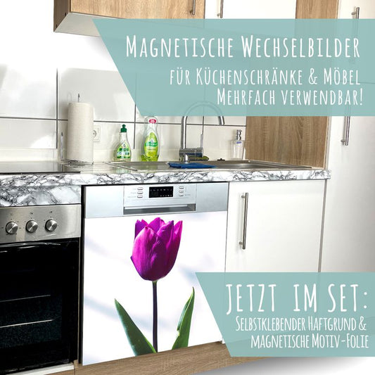 Spülmaschinen Möbel Magnetfolie Dekofolie Dekor Einzelbild - Motiv Tulpe