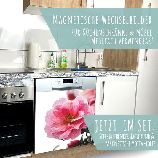 Spülmaschinen Möbel Magnetfolie Dekofolie Dekor Einzelbild - Motiv Rosa Blüten