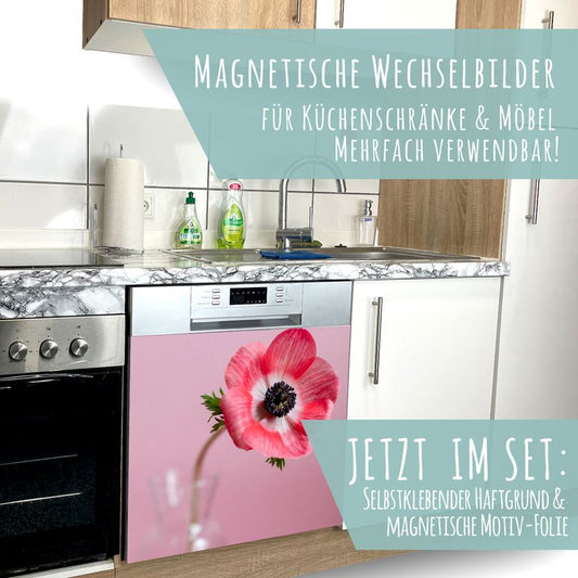 Spülmaschinen Möbel Magnetfolie Dekofolie Dekor Einzelbild - Motiv Blume