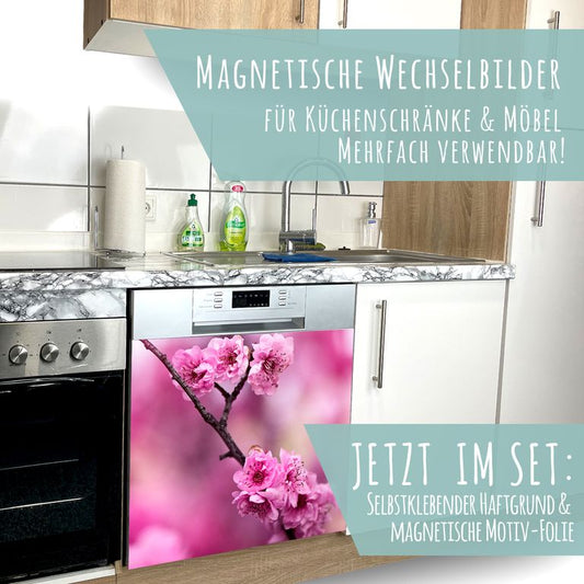 Spülmaschinen Möbel Magnetfolie Dekofolie Dekor Einzelbild - Motiv Pink Flower