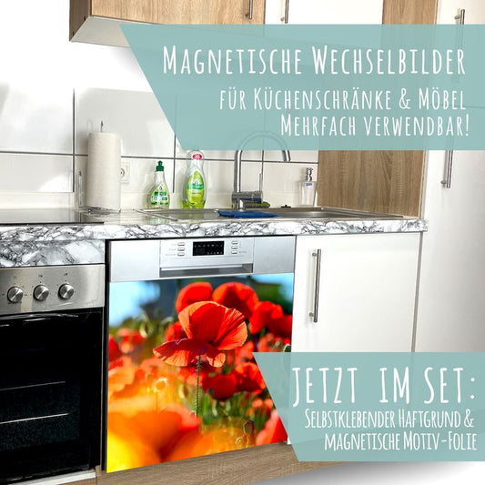 Spülmaschinen Möbel Magnetfolie Dekofolie Dekor Einzelbild - Motiv Red