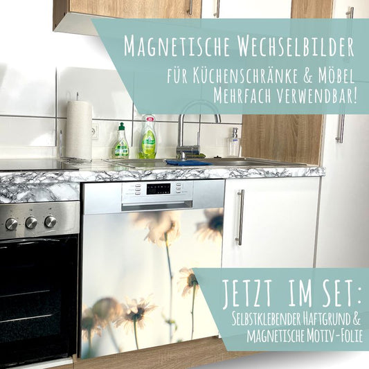 Spülmaschinen Möbel Magnetfolie Dekofolie Dekor Einzelbild - Motiv White Flowers