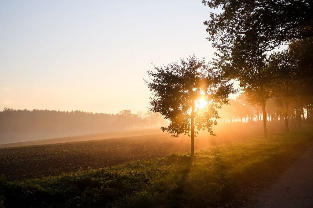 Bedrucktes Acrylglas als Magnetwand, Küchen-Hintergrund, Motiv: Sonnenuntergang