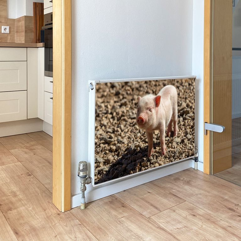 Magnet Heizkörperverkleidung Heizkörperabdeckung Heizung Motiv Baby Ferkel