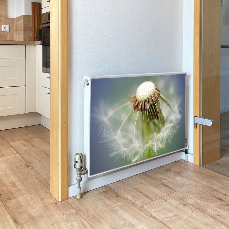 Magnet Heizkörperverkleidung Heizkörperabdeckung Heizkörper - Motiv Pusteblume