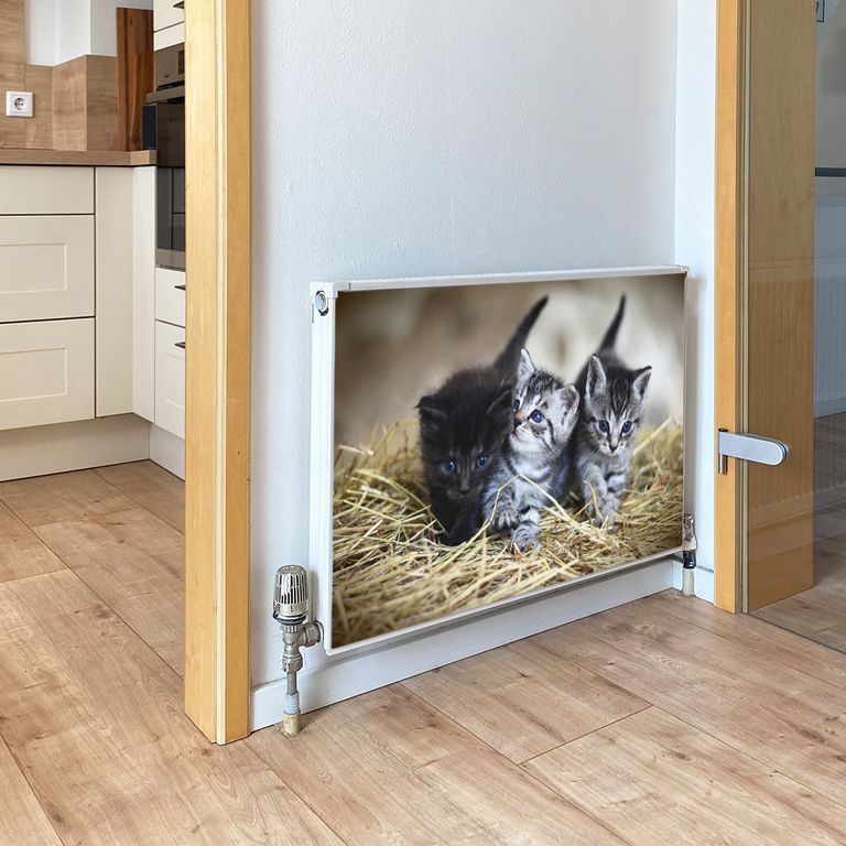 Magnet Heizkörperverkleidung Heizkörperabdeckung Heizung Motiv Babykatzen