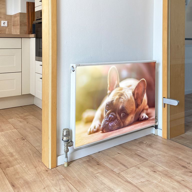 Magnet Heizkörperverkleidung Heizkörperabdeckung Heizung Schutz Motiv Mops