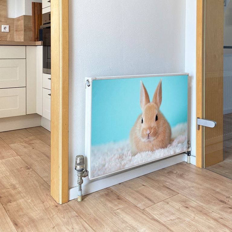 Magnet Heizkörperverkleidung Heizkörperabdeckung Heizung Schutz Motiv Osterhase