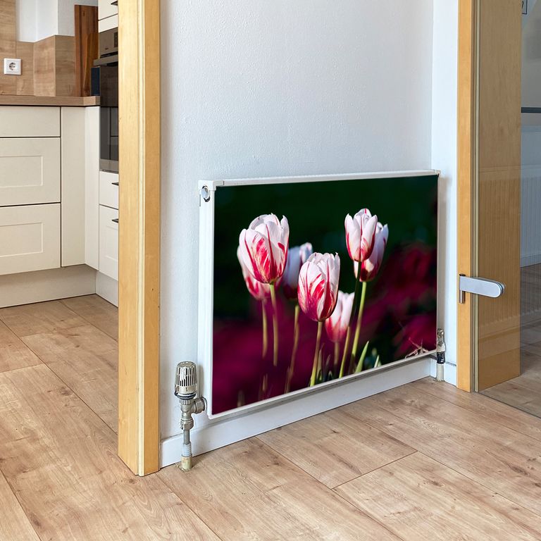 Magnet Heizkörperverkleidung Heizkörperabdeckung Heizkörper - Motiv Tulpen