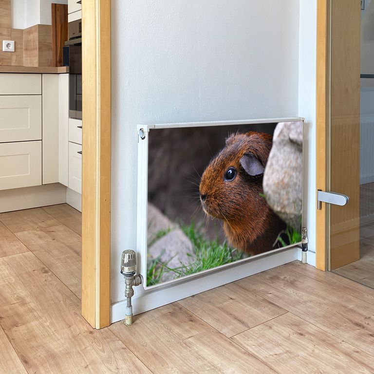 Magnet Heizkörperverkleidung Heizkörperabdeckung Heizung Motiv Meerschweinchen