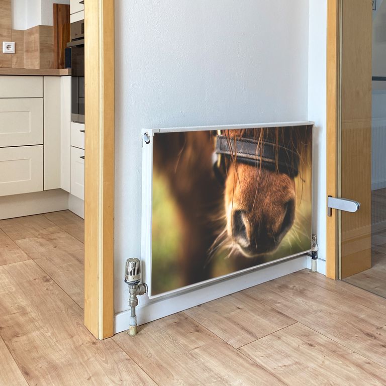 Magnet Heizkörperverkleidung Heizkörperabdeckung Heizung Schutz Motiv Horse