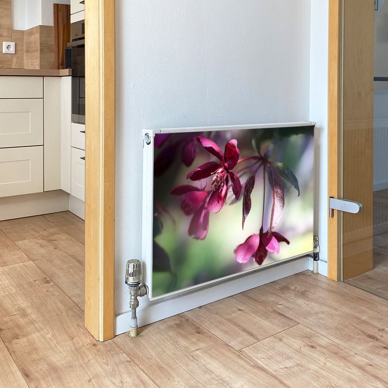 Magnet Heizkörperverkleidung Heizkörperabdeckung Heizung Schutz Motiv Schönheit