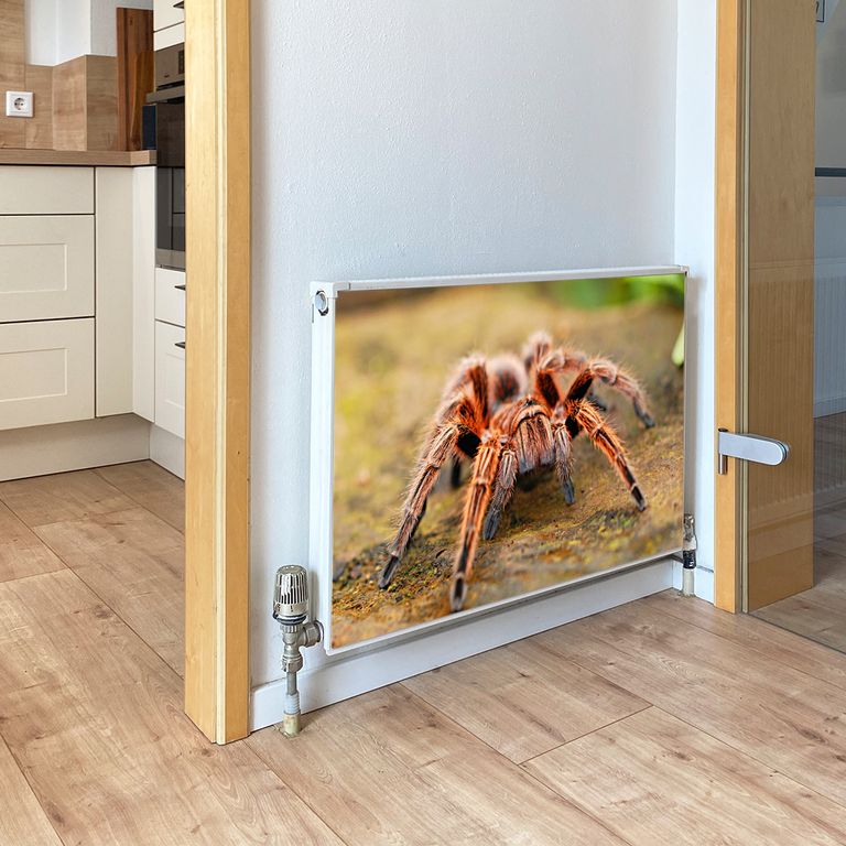 Magnet Heizkörperverkleidung Heizkörperabdeckung Heizung Schutz Motiv Spinne