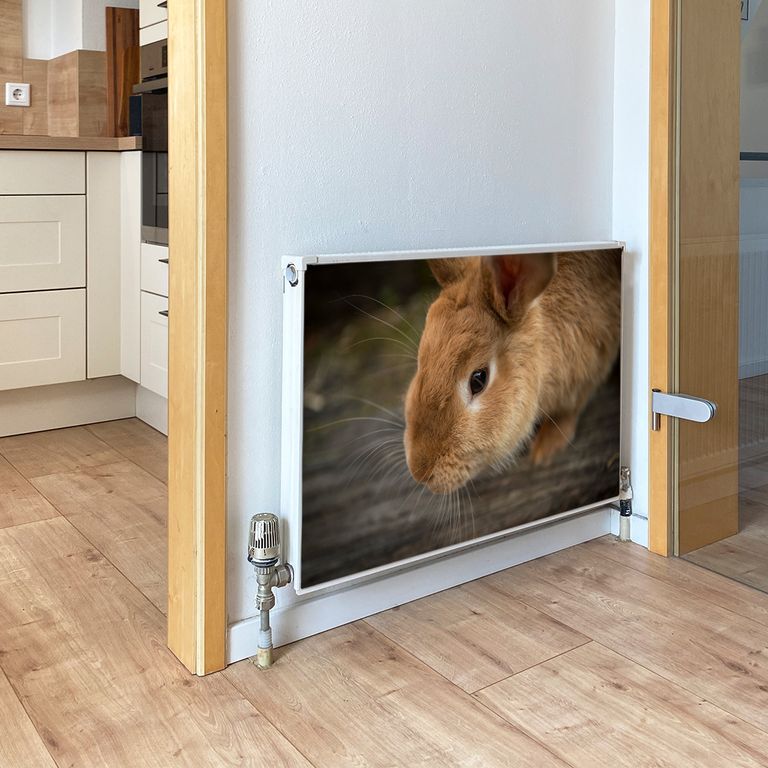 Magnet Heizkörperverkleidung Heizkörperabdeckung Heizung Motiv Kaninchen