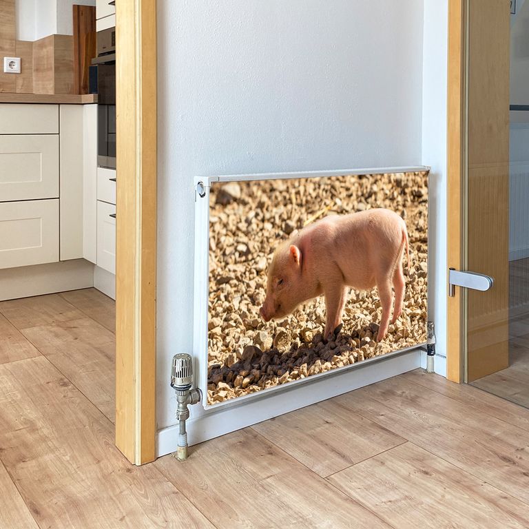 Magnet Heizkörperverkleidung Heizkörperabdeckung Heizung Motiv Schweinchen