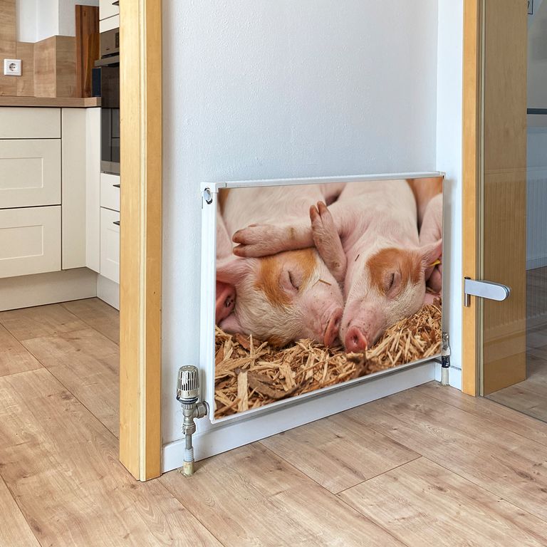 Magnet Heizkörperverkleidung Heizkörperabdeckung Heizung Motiv Schweineliebe