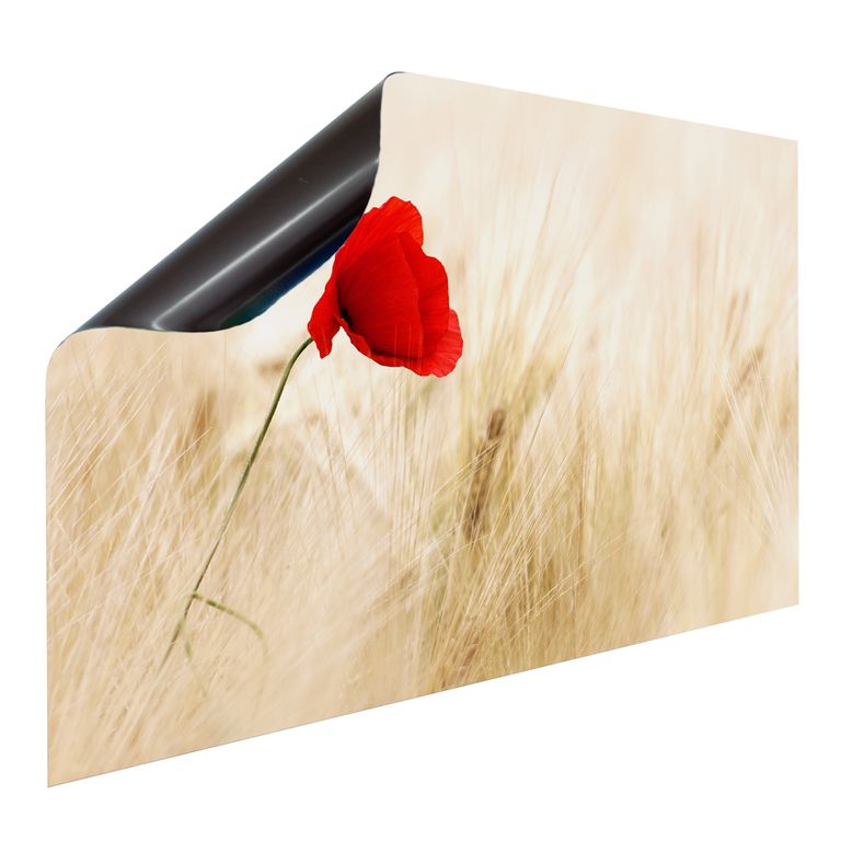 Bedruckte Magnetpinnwand Eisenfolie Whiteboard Magnetwand Motiv Mohnblume