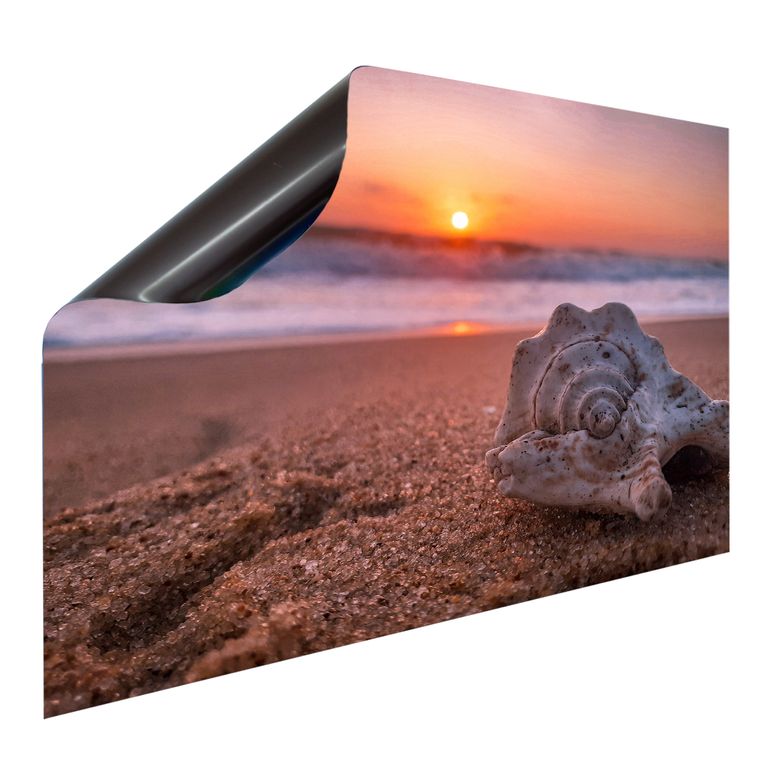 Bedruckte Magnetpinnwand Eisenfolie Whiteboard Magnetwand Motiv Muschel