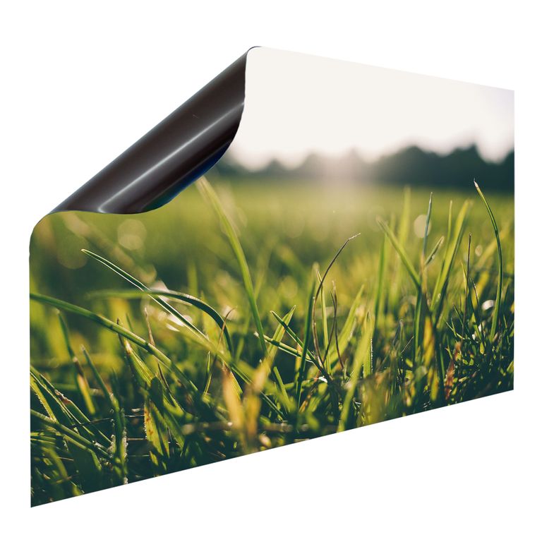 Bedruckte Magnetpinnwand Eisenfolie Whiteboard Magnetwand Motiv Grashalm