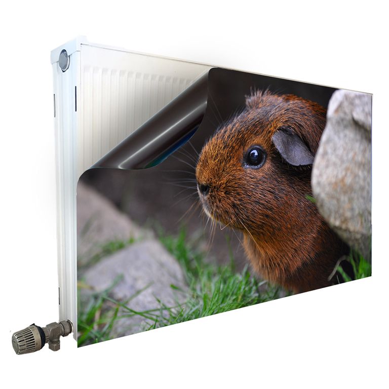 Magnet Heizkörperverkleidung Heizkörperabdeckung Heizung Motiv Meerschweinchen