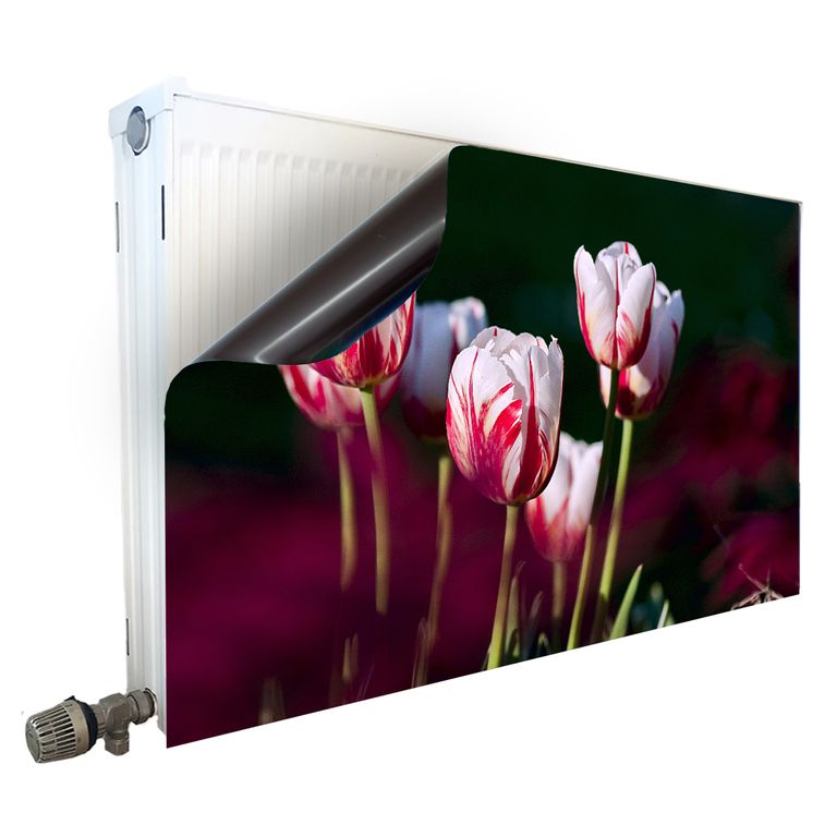 Magnet Heizkörperverkleidung Heizkörperabdeckung Heizkörper - Motiv Tulpen