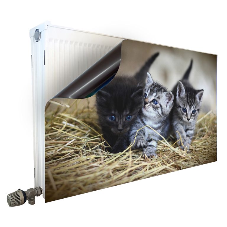 Magnet Heizkörperverkleidung Heizkörperabdeckung Heizung Motiv Babykatzen