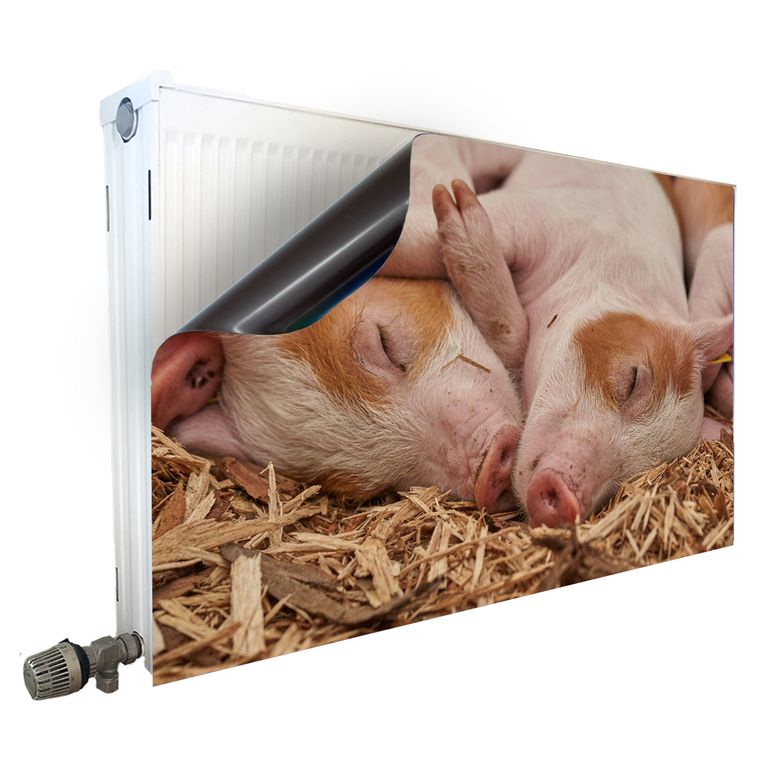 Magnet Heizkörperverkleidung Heizkörperabdeckung Heizung Motiv Schweineliebe