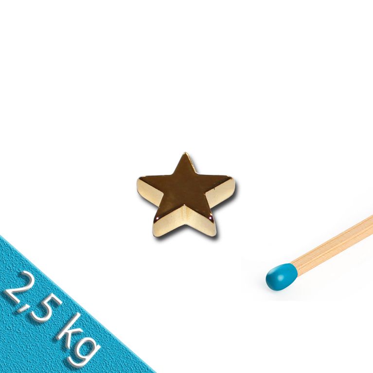 Neodym Magnet in Sternform vergoldet GOLD