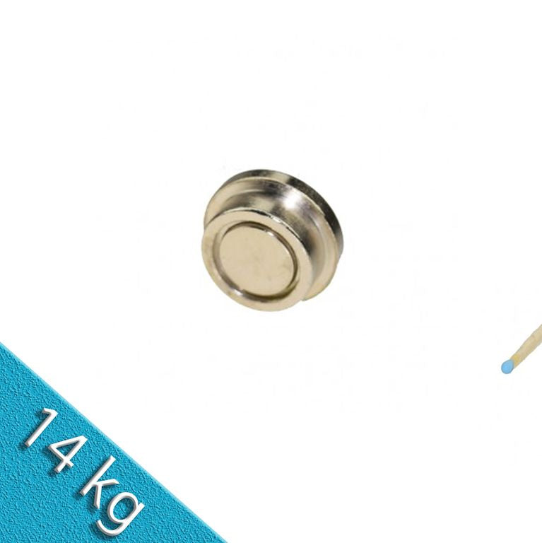 Memomagnet aus Stahl Ø 25 x 9 mm - hält 14 kg