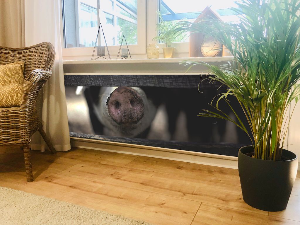 Magnet Heizkörperverkleidung Heizkörperabdeckung Heizung Motiv Schweinchennase