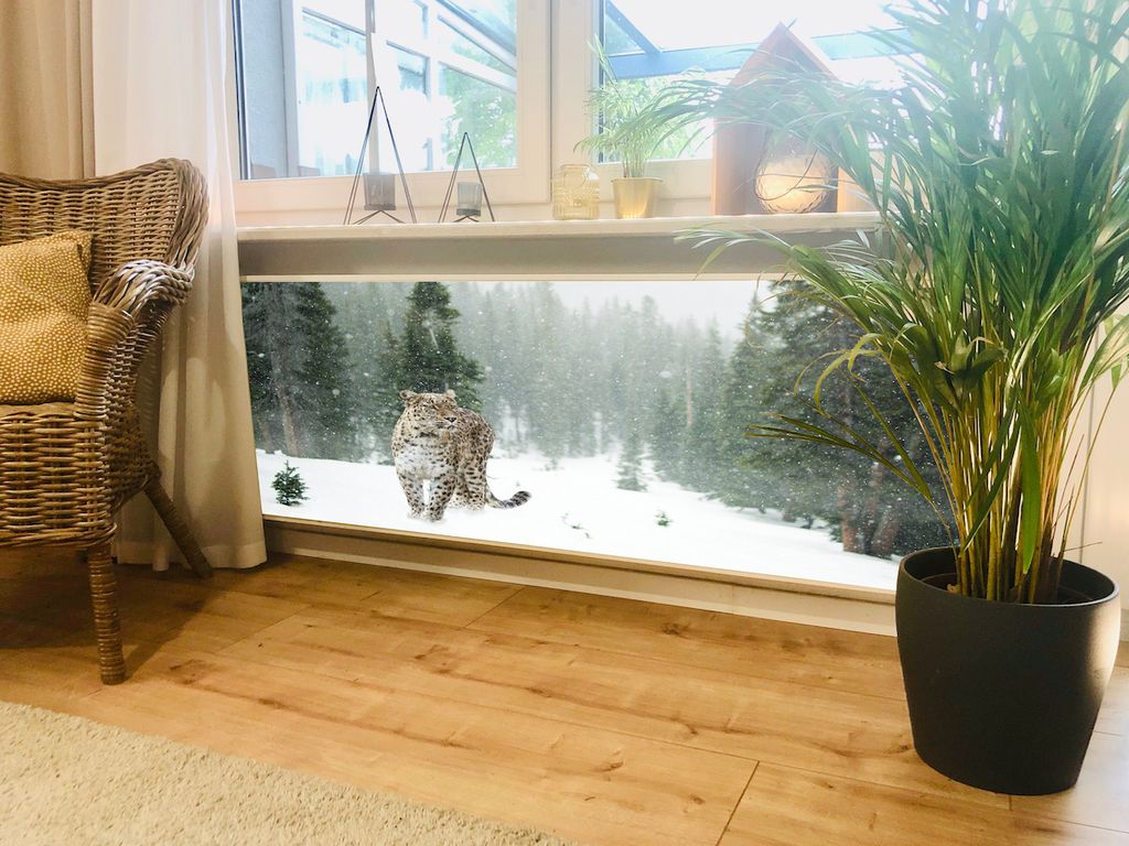 Magnet Heizkörperverkleidung Heizkörperabdeckung Heizung Schutz Motiv Schneeleopard