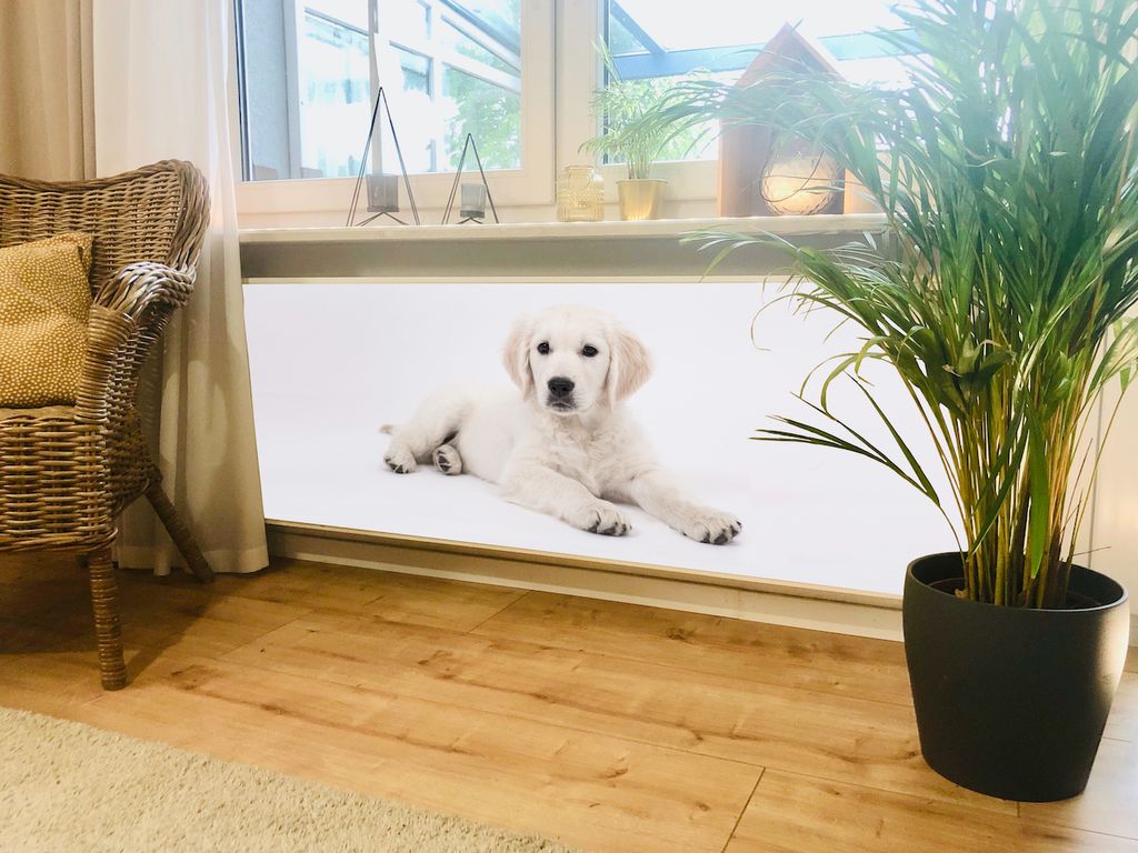 Magnet Heizkörperverkleidung Heizkörperabdeckung Heizung Schutz Motiv Hund