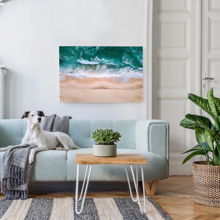 Bedrucktes Acrylglas als Magnetwand, Küchen-Hintergrund, Motiv Strand