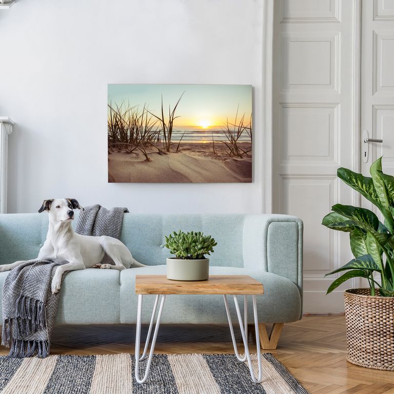 Bedrucktes Acrylglas als Magnetwand, Küchen-Hintergrund, Motiv Strandgras