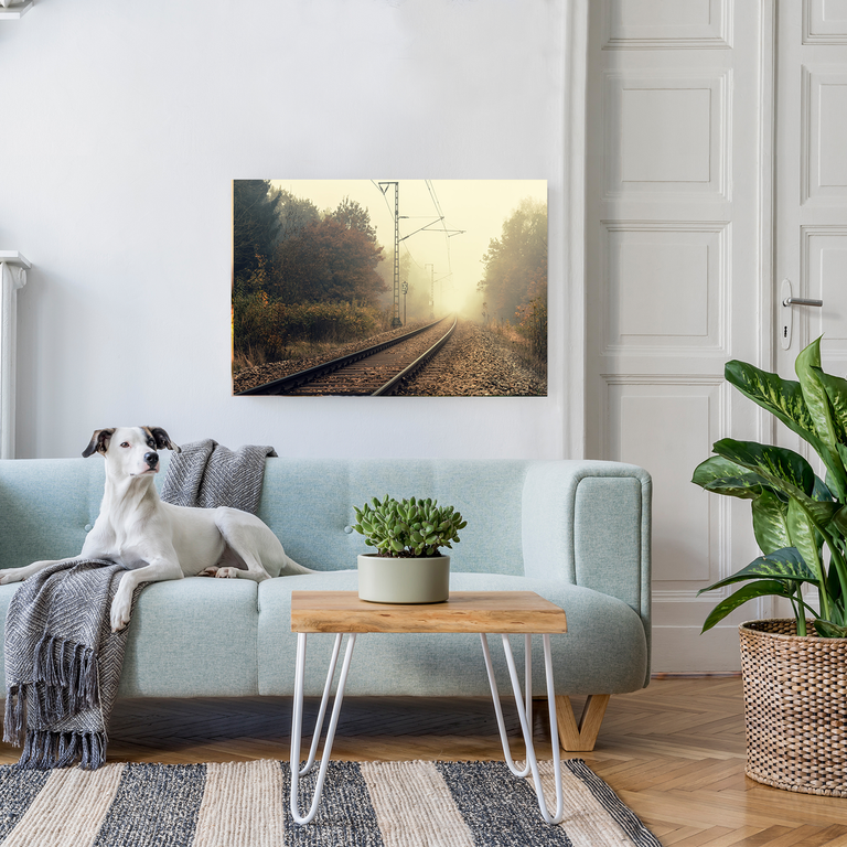 Bedrucktes Acrylglas als Magnetwand, Küchen-Hintergrund, Motiv: Eisenbahnschienen
