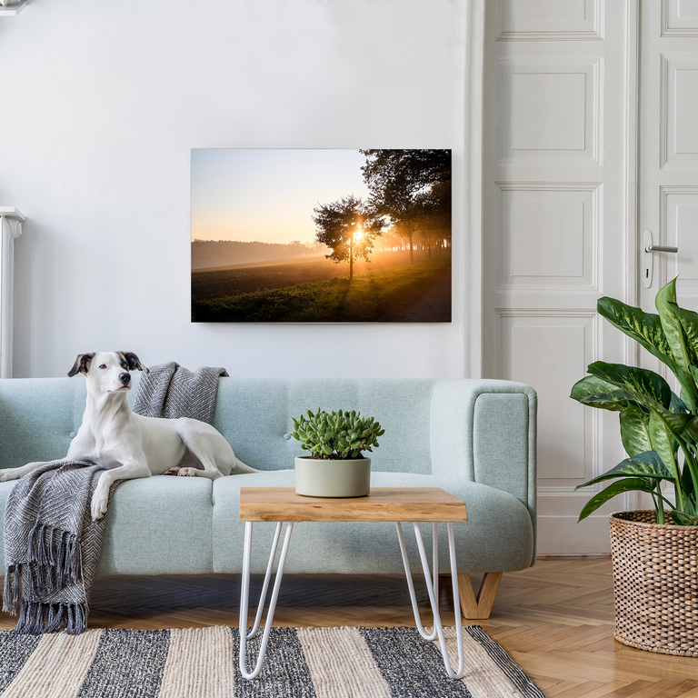 Bedrucktes Acrylglas als Magnetwand, Küchen-Hintergrund, Motiv: Sonnenuntergang