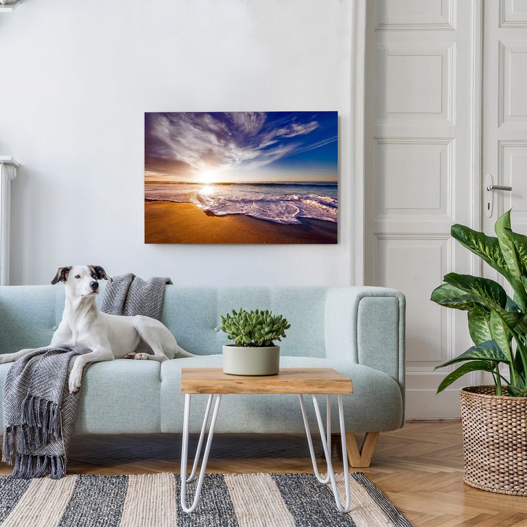 Bedrucktes Acrylglas als Magnetwand, Küchen-Hintergrund, Motiv California