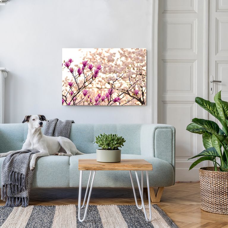 Bedrucktes Acrylglas als Magnetwand, Küchen-Hintergrund, Motiv Magnolia