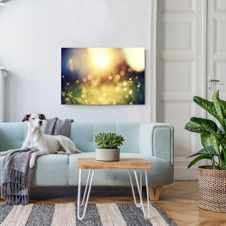 Bedrucktes Acrylglas als Magnetwand, Küchen-Hintergrund, Motiv Sonnenstrahlen