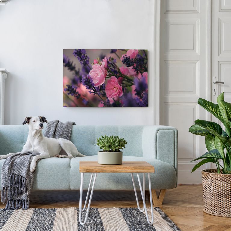 Bedrucktes Acrylglas als Magnetwand, Küchen-Hintergrund, Motiv Lavendelstrauß