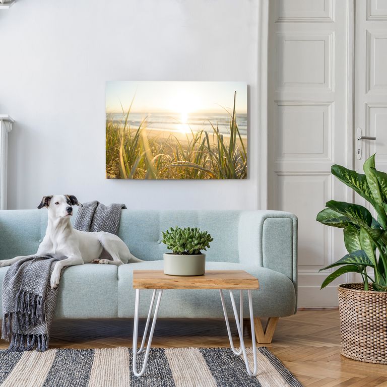 Bedrucktes Acrylglas als Magnetwand, Küchen-Hintergrund, Motiv Düne