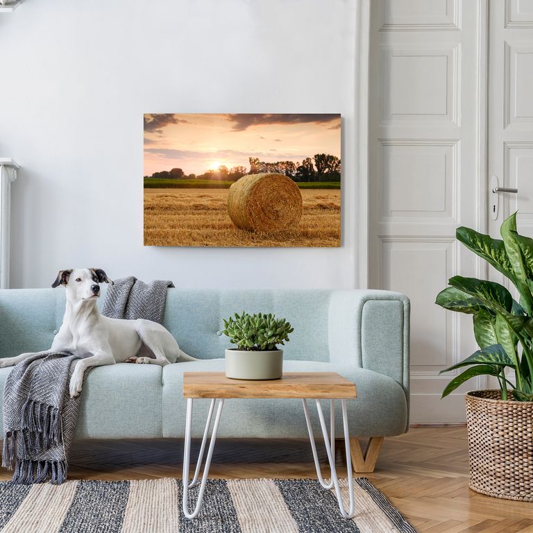 Bedrucktes Acrylglas als Magnetwand, Küchen-Hintergrund, Motiv Heuballen